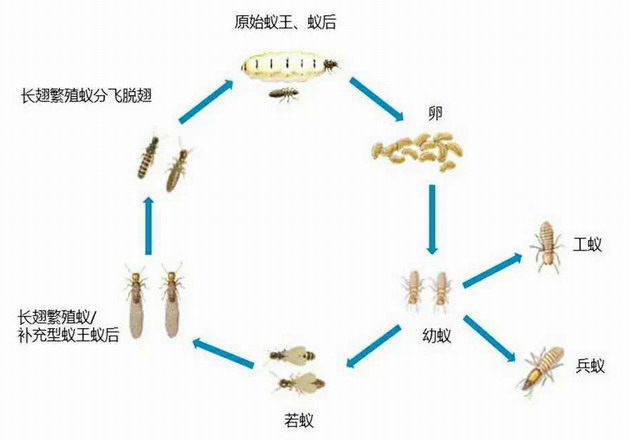 售后服務之提醒篇