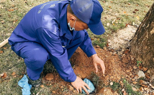 廣州白蟻防治