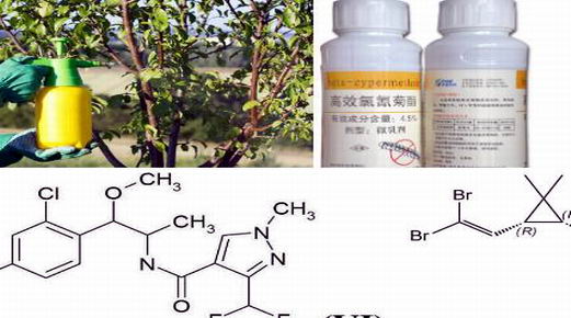 廣州滅蚊公司