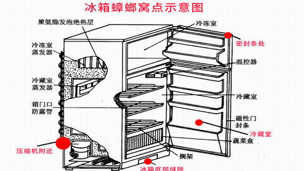 廣州滅蟑公司