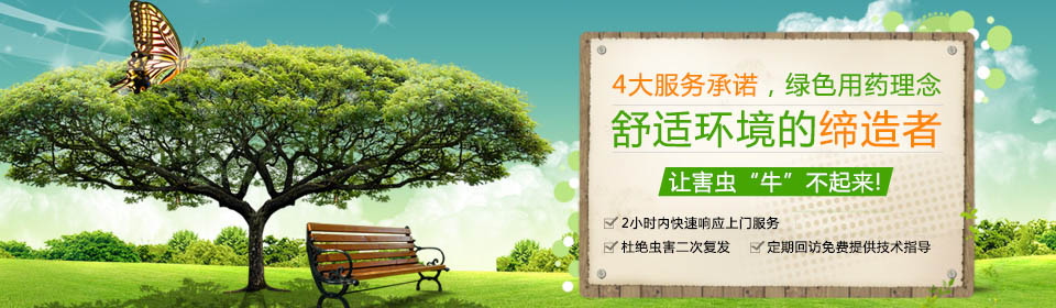 10年經驗技術人員 免費上門進行蟲害評估及蟲害精細部位分析